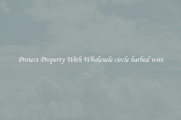Protect Property With Wholesale circle barbed wire