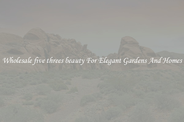 Wholesale five threes beauty For Elegant Gardens And Homes