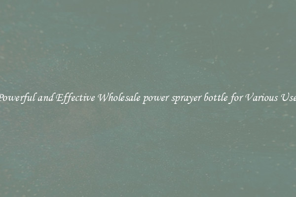 Powerful and Effective Wholesale power sprayer bottle for Various Uses