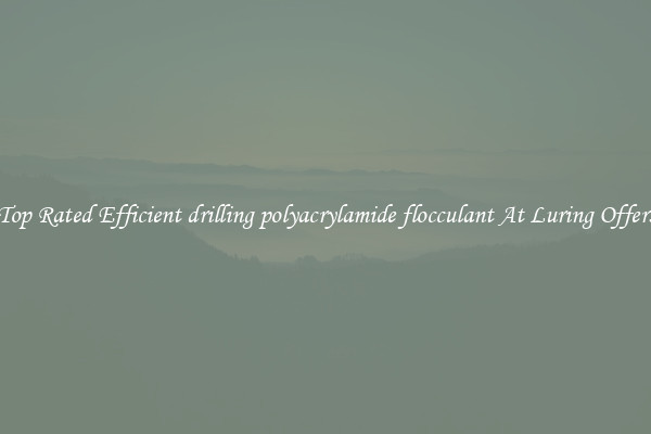 Top Rated Efficient drilling polyacrylamide flocculant At Luring Offers