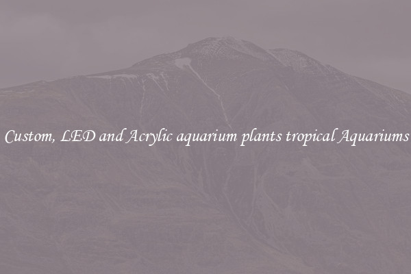 Custom, LED and Acrylic aquarium plants tropical Aquariums