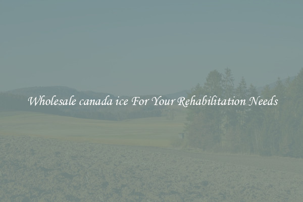 Wholesale canada ice For Your Rehabilitation Needs