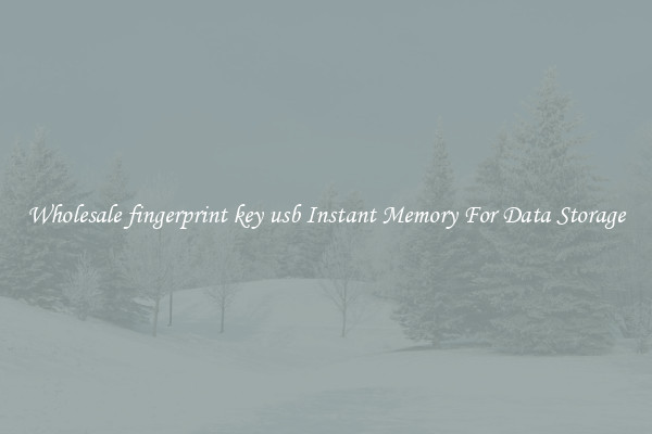 Wholesale fingerprint key usb Instant Memory For Data Storage