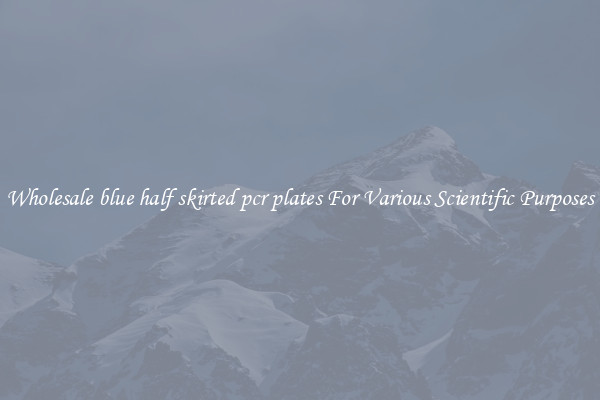 Wholesale blue half skirted pcr plates For Various Scientific Purposes