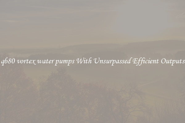 qb80 vortex water pumps With Unsurpassed Efficient Outputs