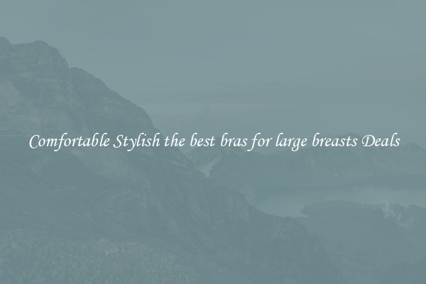 Comfortable Stylish the best bras for large breasts Deals