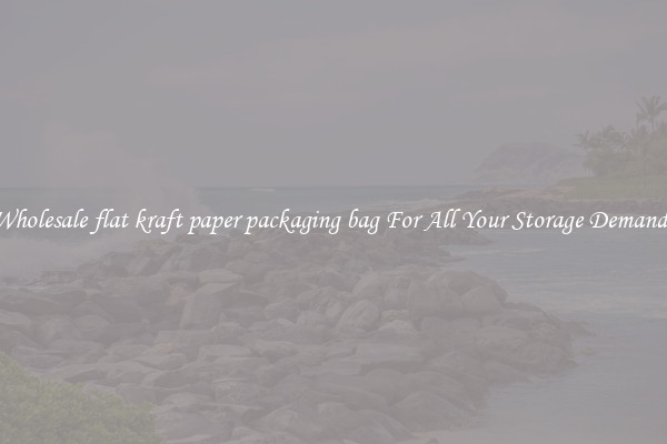Wholesale flat kraft paper packaging bag For All Your Storage Demands