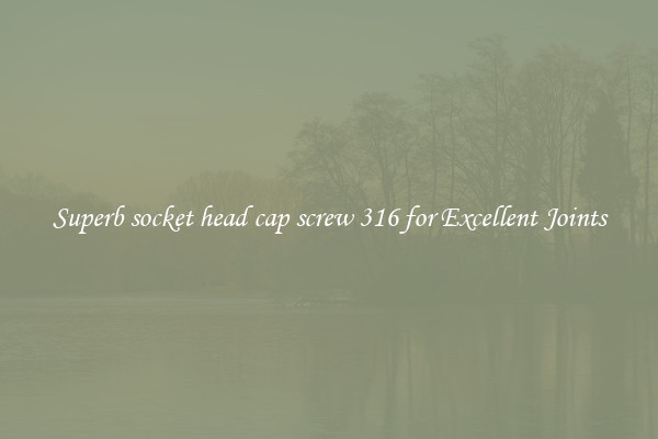 Superb socket head cap screw 316 for Excellent Joints