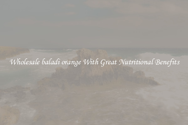 Wholesale baladi orange With Great Nutritional Benefits