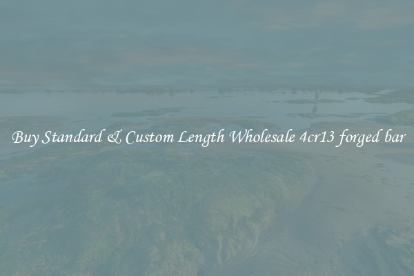 Buy Standard & Custom Length Wholesale 4cr13 forged bar