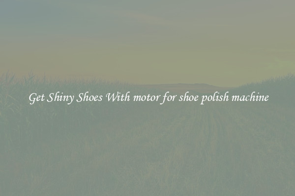 Get Shiny Shoes With motor for shoe polish machine