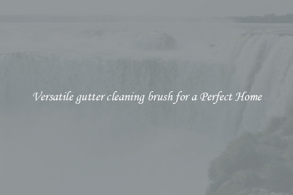 Versatile gutter cleaning brush for a Perfect Home
