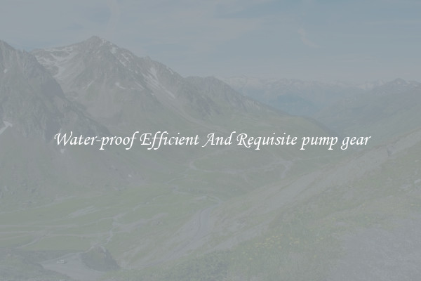 Water-proof Efficient And Requisite pump gear