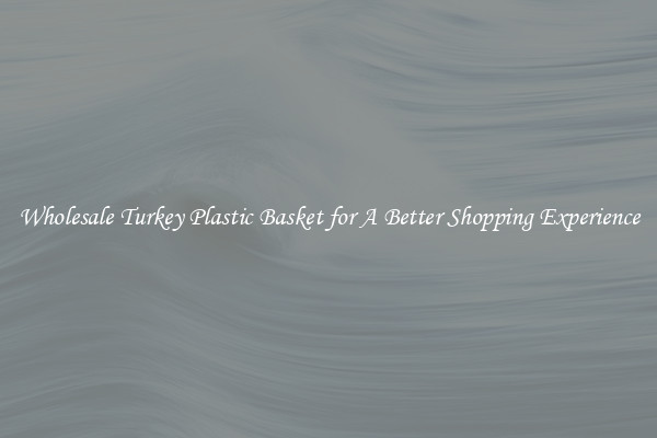 Wholesale Turkey Plastic Basket for A Better Shopping Experience