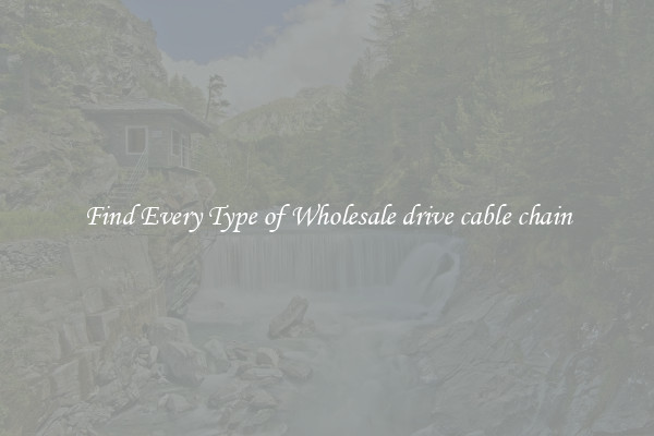 Find Every Type of Wholesale drive cable chain