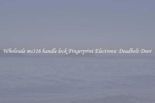 Wholesale ms316 handle lock Fingerprint Electronic Deadbolt Door 