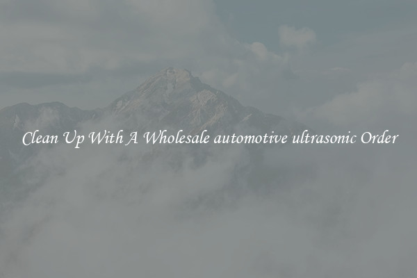 Clean Up With A Wholesale automotive ultrasonic Order
