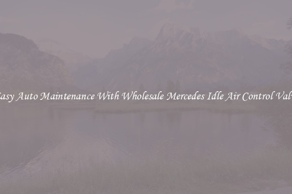 Easy Auto Maintenance With Wholesale Mercedes Idle Air Control Valve