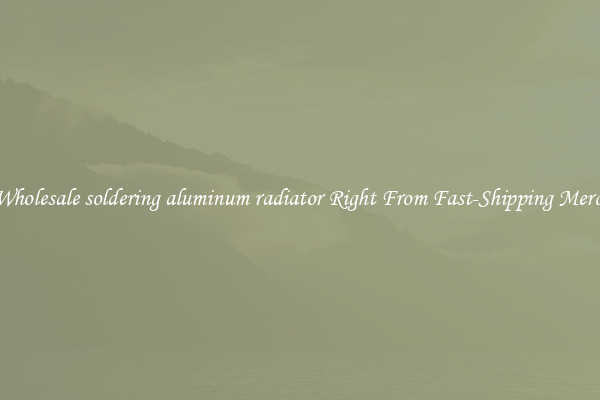 Buy Wholesale soldering aluminum radiator Right From Fast-Shipping Merchants