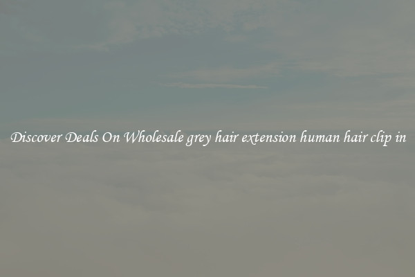 Discover Deals On Wholesale grey hair extension human hair clip in
