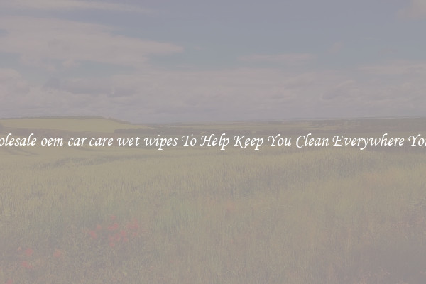 Wholesale oem car care wet wipes To Help Keep You Clean Everywhere You Go